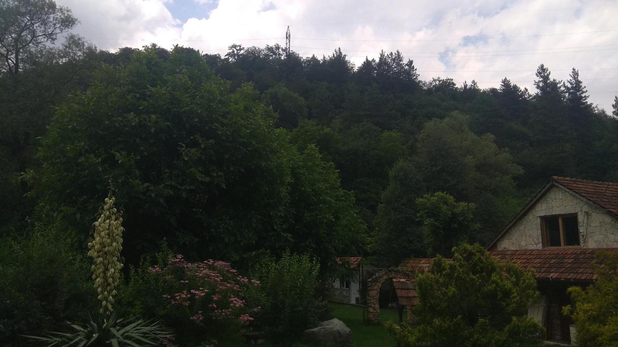 Bed and Breakfast Eco Garden Dilijan Exterior foto